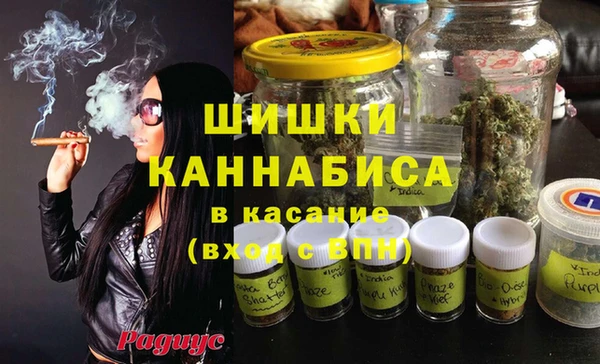 гидра Аркадак
