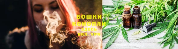 гидра Аркадак