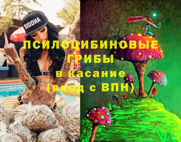 гидра Аркадак