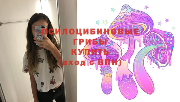 метадон Арсеньев