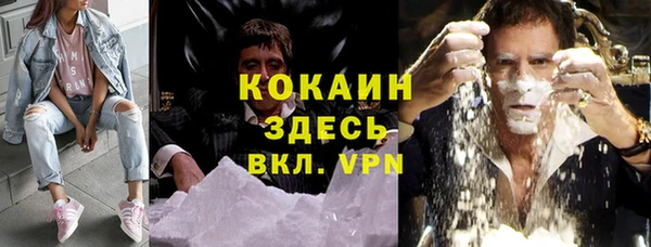 гидра Аркадак