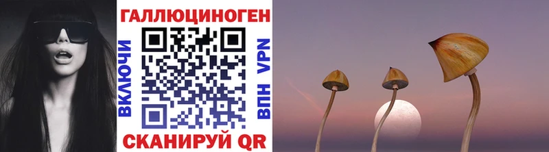 Псилоцибиновые грибы GOLDEN TEACHER  наркотики  Новочеркасск 